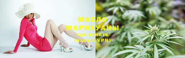 индика Иноземцево