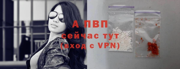 индика Иноземцево
