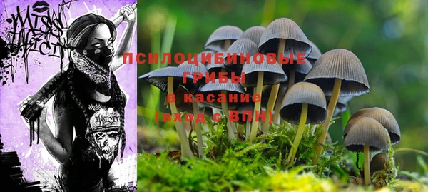кокаин Дмитров