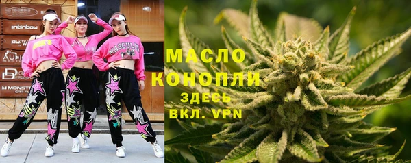 мдпв Дмитриев