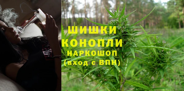 мдпв Дмитриев