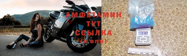 индика Иноземцево