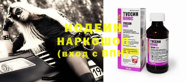 индика Иноземцево