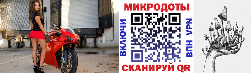 Псилоцибиновые грибы Psilocybe  Нея 
